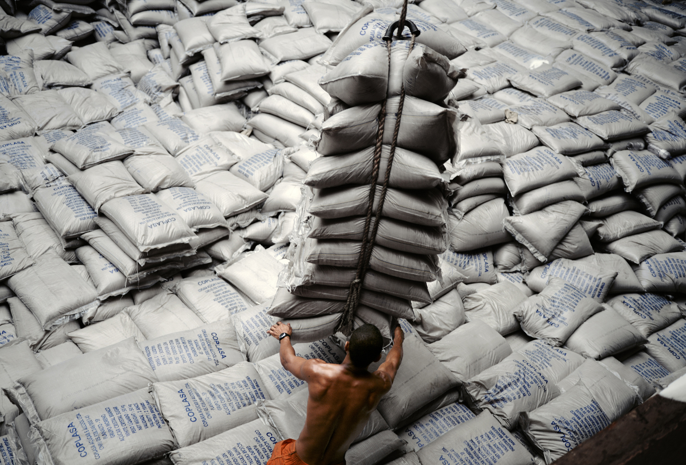 Allan Sekula, Working (Santos), 2010