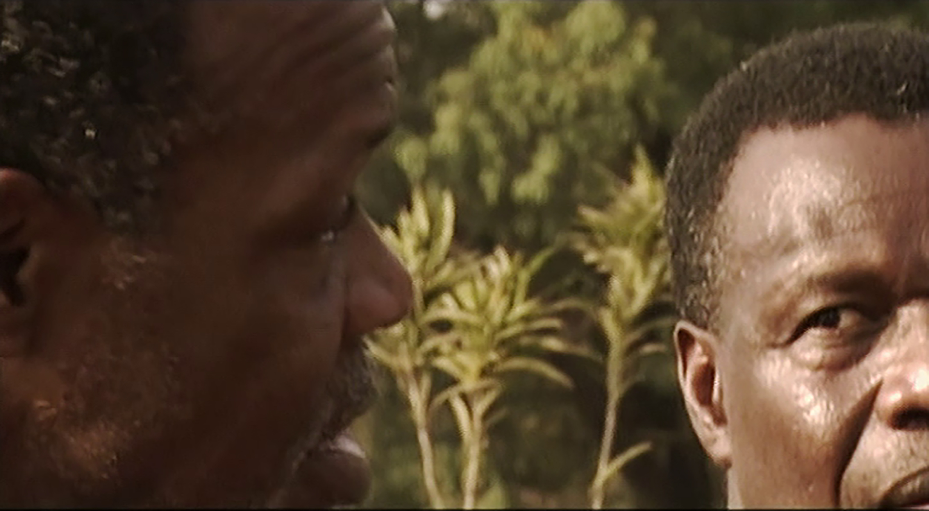 A very very Short Story of Nollywood