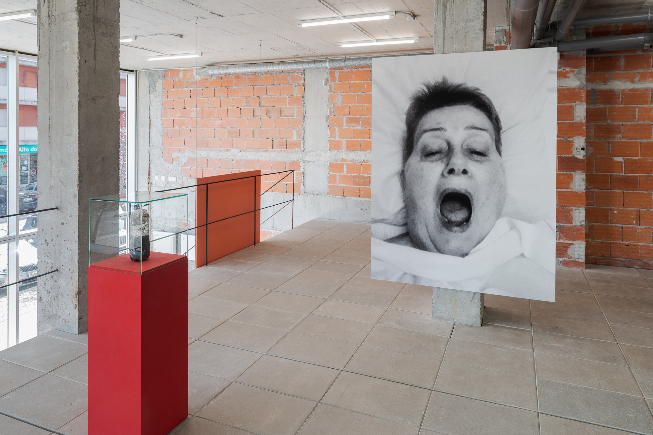 Lumiar Cité, 2025, vista da instalação. Foto: DMF