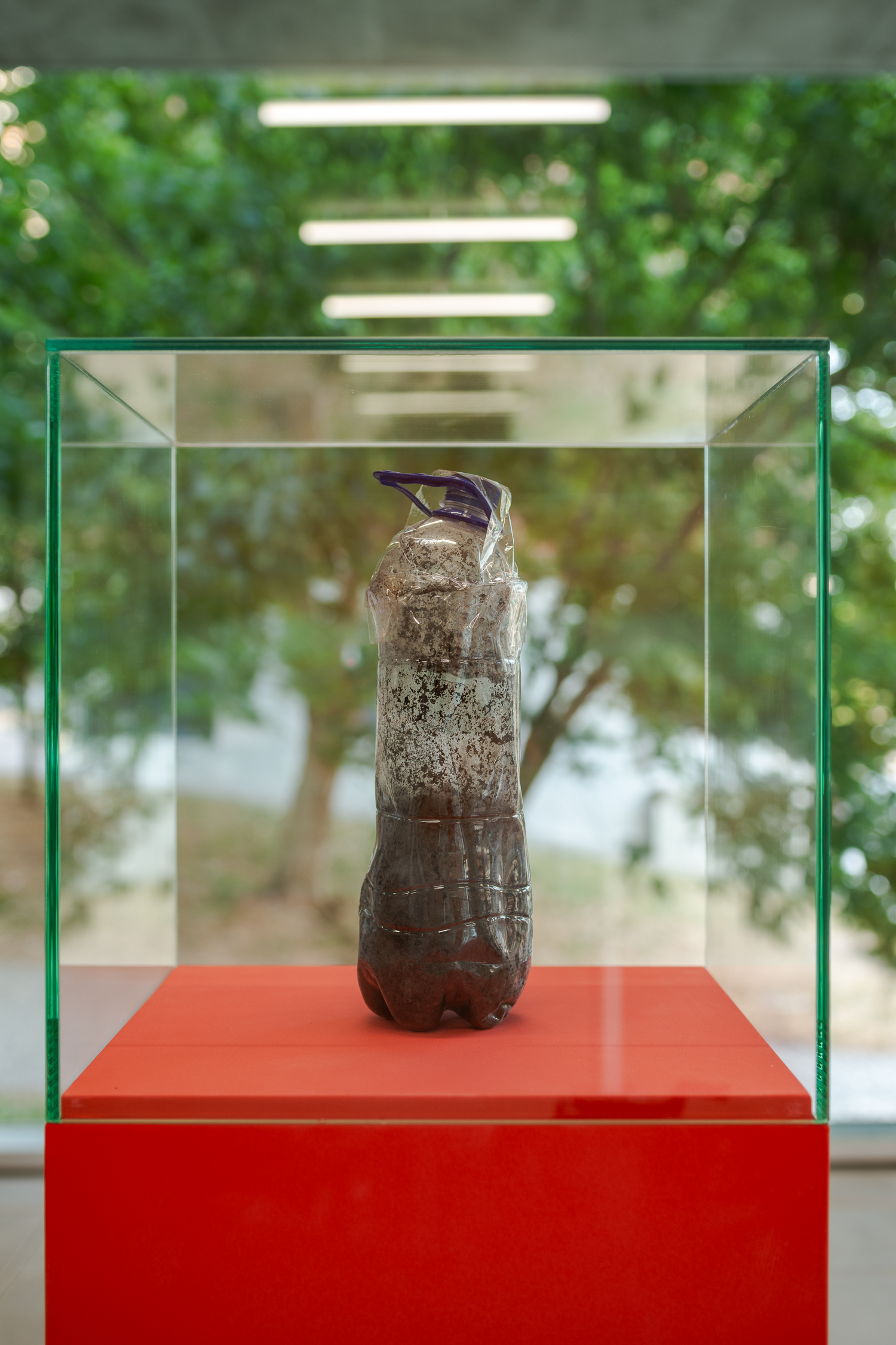 Lumiar Cité, 2025, vista da instalação. Foto: DMF